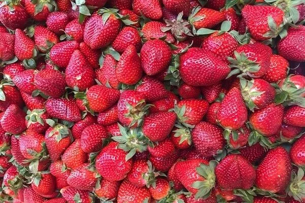 A pile of strawberries on a table.