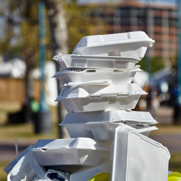 foam containers
