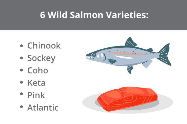 6 Wild Salmon Varieties