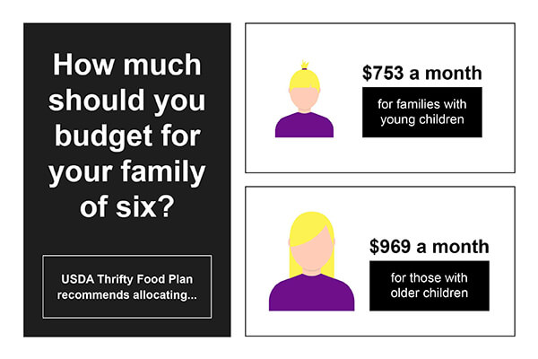 USDA Family Budget Statistic