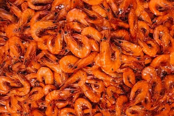 Pile of full shrimp.
