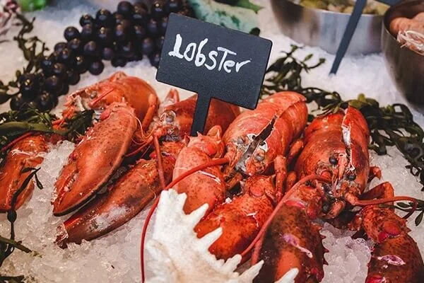 Lobster on ice