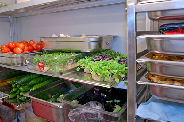 restaurant food storage refrigerator