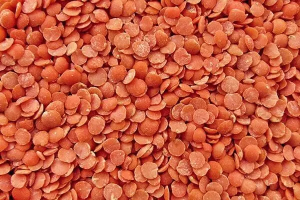 Pile of lentils.
