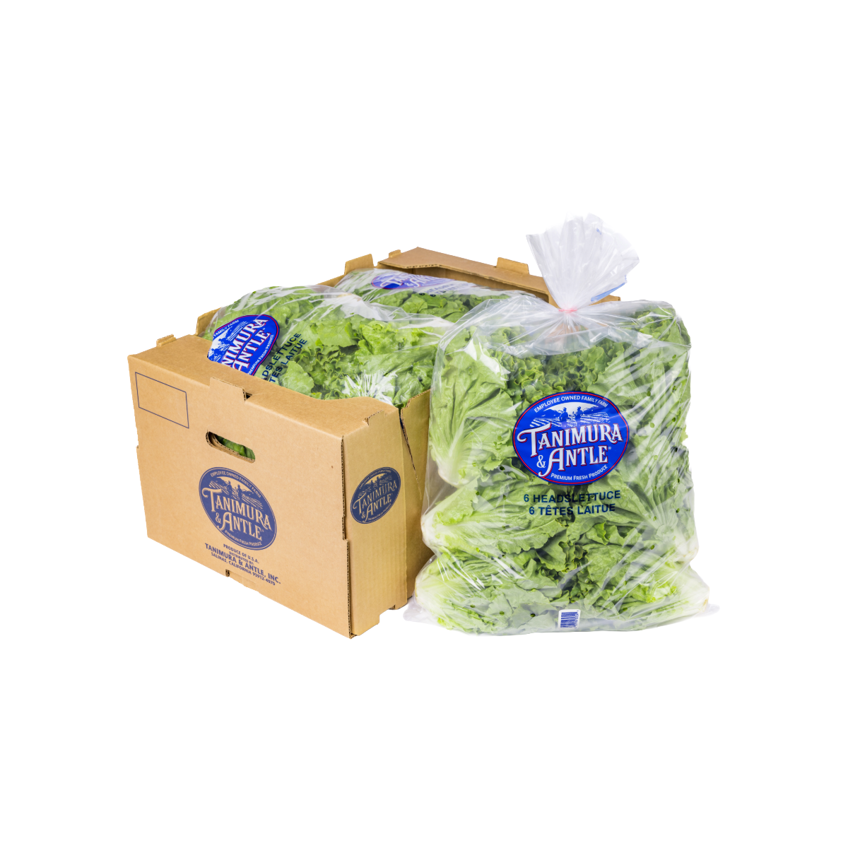 TANIMURA & ANTLE BAG GREEN LEAF LETTUCE