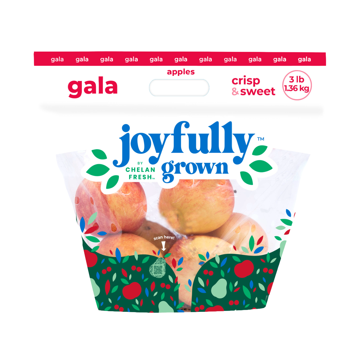GALA APPLES 3 LB