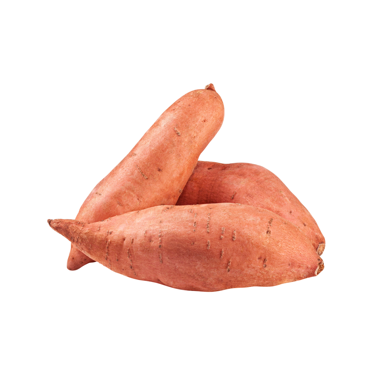 POTATO SWEET #1 GRADE 20-24OZ